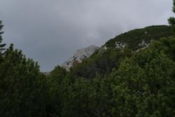 2011-04-24_Regina-F-Rau_Brunnstein-Spitze (091).JPG